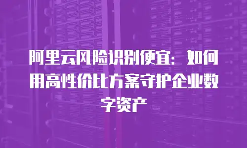 阿里云风险识别便宜：如何用高性价比方案守护企业数字资产