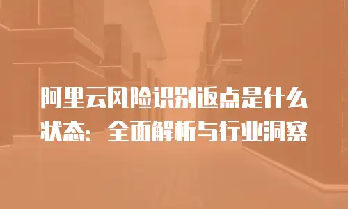 阿里云风险识别返点是什么状态：全面解析与行业洞察