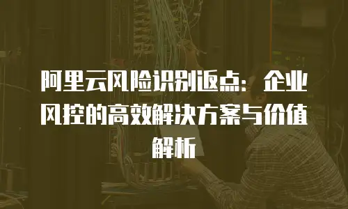 阿里云风险识别返点：企业风控的高效解决方案与价值解析