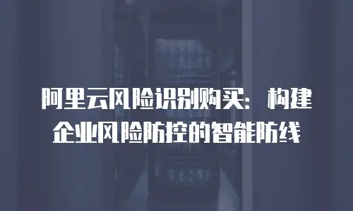 阿里云风险识别购买：构建企业风险防控的智能防线