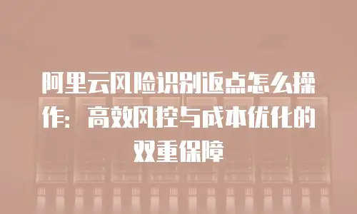 阿里云风险识别返点怎么操作：高效风控与成本优化的双重保障
