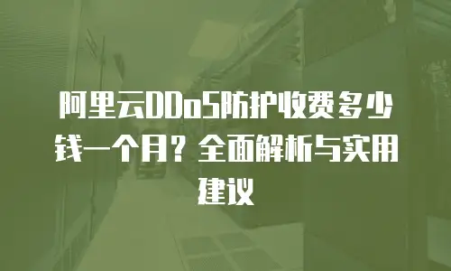 阿里云DDoS防护收费多少钱一个月？全面解析与实用建议