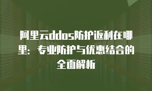 阿里云ddos防护返利在哪里：专业防护与优惠结合的全面解析
