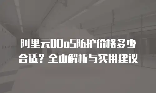 阿里云DDoS防护价格多少合适？全面解析与实用建议