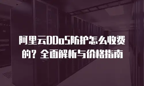 阿里云DDoS防护怎么收费的？全面解析与价格指南