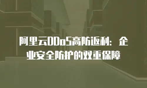 阿里云DDoS高防返利：企业安全防护的双重保障