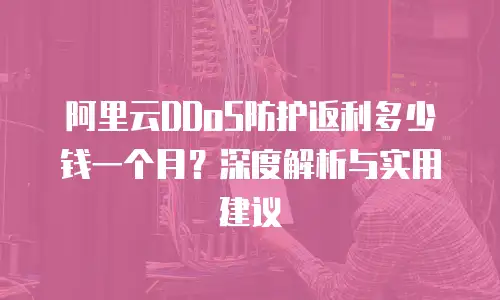 阿里云DDoS防护返利多少钱一个月？深度解析与实用建议