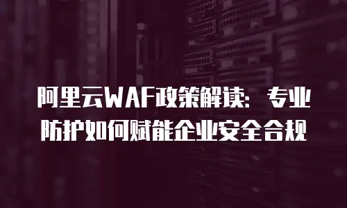 阿里云WAF政策解读：专业防护如何赋能企业安全合规