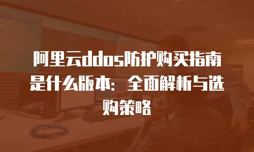 阿里云ddos防护购买指南是什么版本：全面解析与选购策略