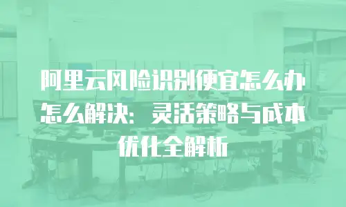 阿里云风险识别便宜怎么办怎么解决：灵活策略与成本优化全解析