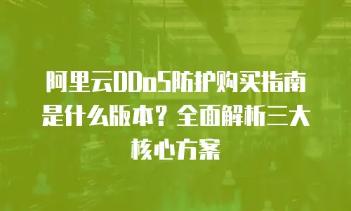 阿里云DDoS防护购买指南是什么版本？全面解析三大核心方案