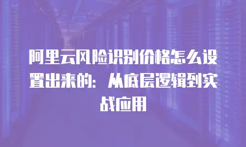 阿里云风险识别价格怎么设置出来的：从底层逻辑到实战应用