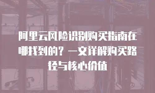 阿里云风险识别购买指南在哪找到的？一文详解购买路径与核心价值
