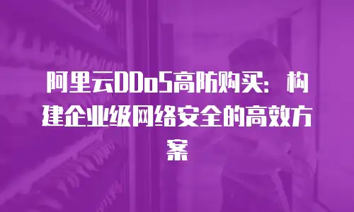 阿里云DDoS高防购买：构建企业级网络安全的高效方案
