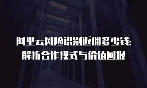 阿里云风险识别返佣多少钱：解析合作模式与价值回报