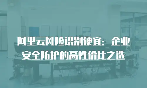 阿里云风险识别便宜：企业安全防护的高性价比之选