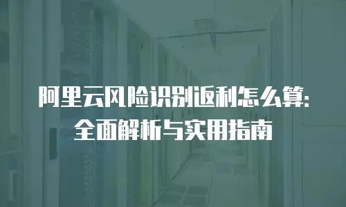 阿里云风险识别返利怎么算：全面解析与实用指南