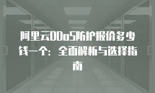 阿里云DDoS防护报价多少钱一个：全面解析与选择指南