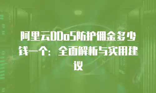 阿里云DDoS防护佣金多少钱一个：全面解析与实用建议