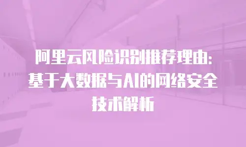 阿里云风险识别推荐理由：基于大数据与AI的网络安全技术解析