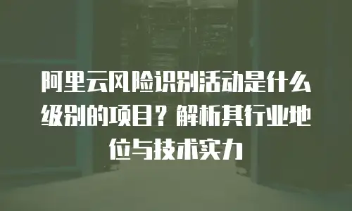 阿里云风险识别活动是什么级别的项目？解析其行业地位与技术实力