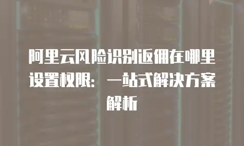 阿里云风险识别返佣在哪里设置权限：一站式解决方案解析