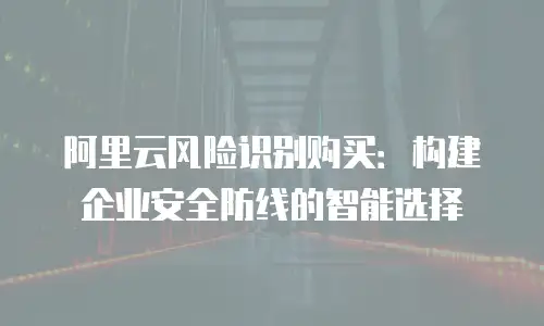 阿里云风险识别购买：构建企业安全防线的智能选择