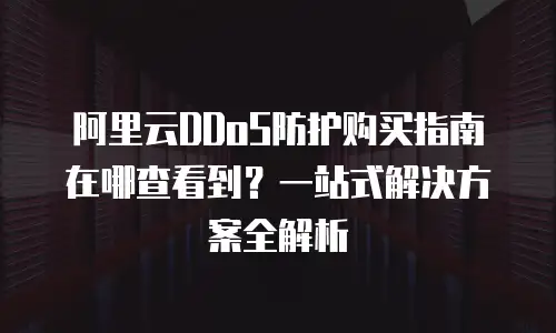阿里云DDoS防护购买指南在哪查看到？一站式解决方案全解析