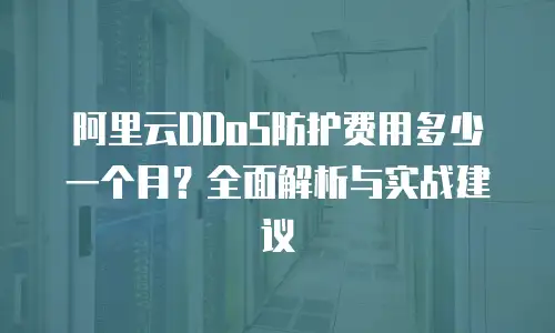 阿里云DDoS防护费用多少一个月？全面解析与实战建议