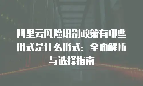 阿里云风险识别政策有哪些形式是什么形式：全面解析与选择指南