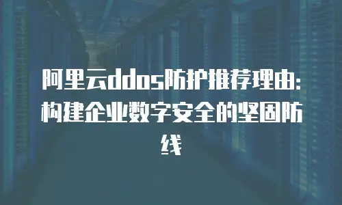 阿里云ddos防护推荐理由：构建企业数字安全的坚固防线