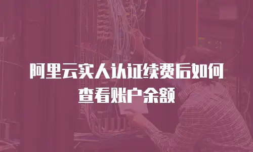阿里云实人认证续费后如何查看账户余额
