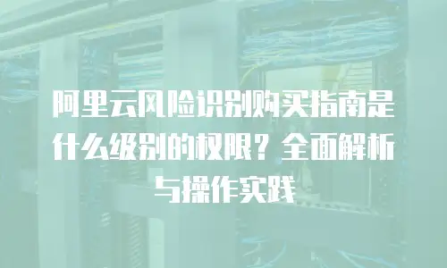 阿里云风险识别购买指南是什么级别的权限？全面解析与操作实践