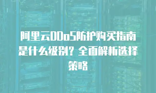 阿里云DDoS防护购买指南是什么级别？全面解析选择策略