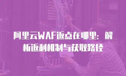 阿里云WAF返点在哪里：解析返利机制与获取路径