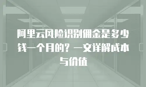 阿里云风险识别佣金是多少钱一个月的？一文详解成本与价值