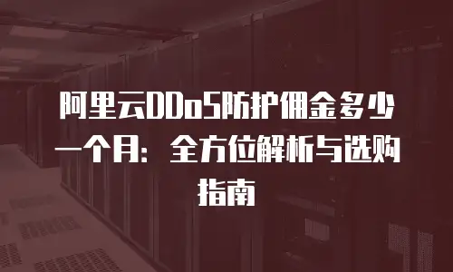 阿里云DDoS防护佣金多少一个月：全方位解析与选购指南