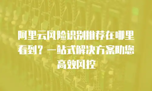 阿里云风险识别推荐在哪里看到？一站式解决方案助您高效风控