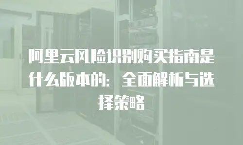 阿里云风险识别购买指南是什么版本的：全面解析与选择策略