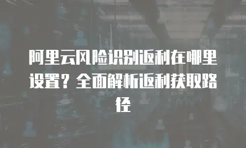 阿里云风险识别返利在哪里设置？全面解析返利获取路径