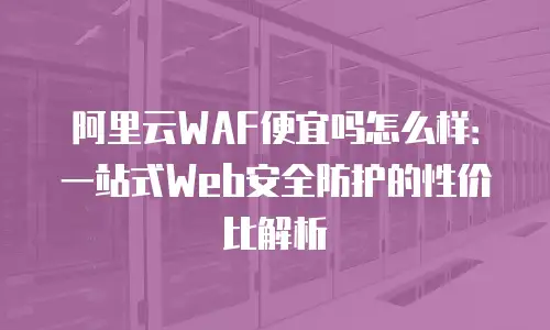 阿里云WAF便宜吗怎么样：一站式Web安全防护的性价比解析
