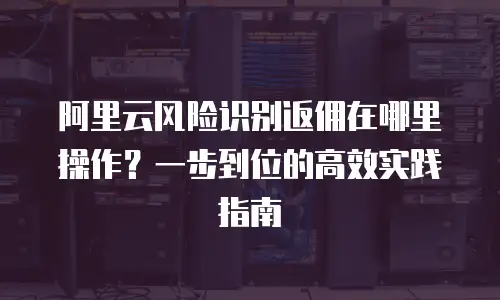 阿里云风险识别返佣在哪里操作？一步到位的高效实践指南