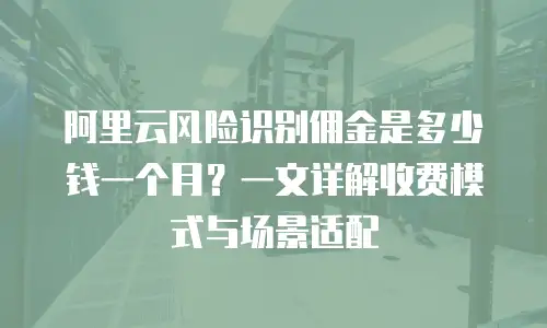 阿里云风险识别佣金是多少钱一个月？一文详解收费模式与场景适配