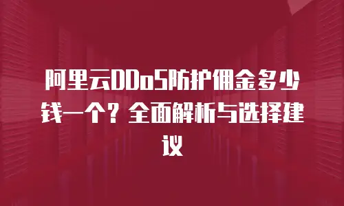 阿里云DDoS防护佣金多少钱一个？全面解析与选择建议