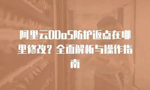 阿里云DDoS防护返点在哪里修改？全面解析与操作指南
