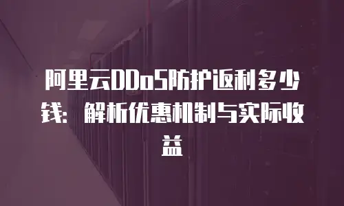 阿里云DDoS防护返利多少钱：解析优惠机制与实际收益