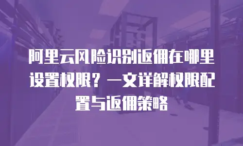 阿里云风险识别返佣在哪里设置权限？一文详解权限配置与返佣策略