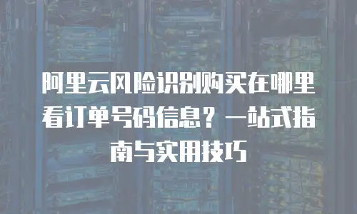 阿里云风险识别购买在哪里看订单号码信息？一站式指南与实用技巧