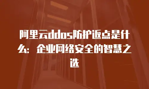 阿里云ddos防护返点是什么：企业网络安全的智慧之选