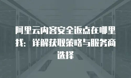阿里云内容安全返点在哪里找：详解获取策略与服务商选择